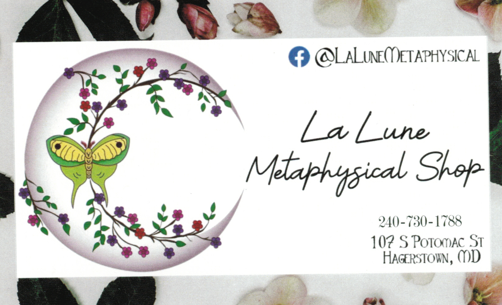 La Lune Metaphysical Shop